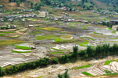Phong cảnh Sapa - 2025