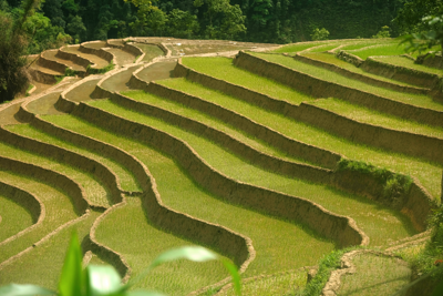 Phong cảnh Sapa - 2025