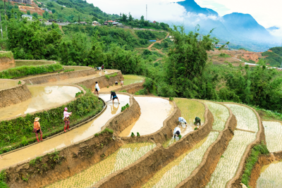 Phong cảnh Sapa - 2025